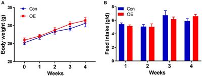 Olive Fruit Extracts Supplement Improve Antioxidant Capacity via Altering Colonic Microbiota Composition in Mice